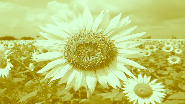 Vitamin D: A lifesaver for pre-surgery patients