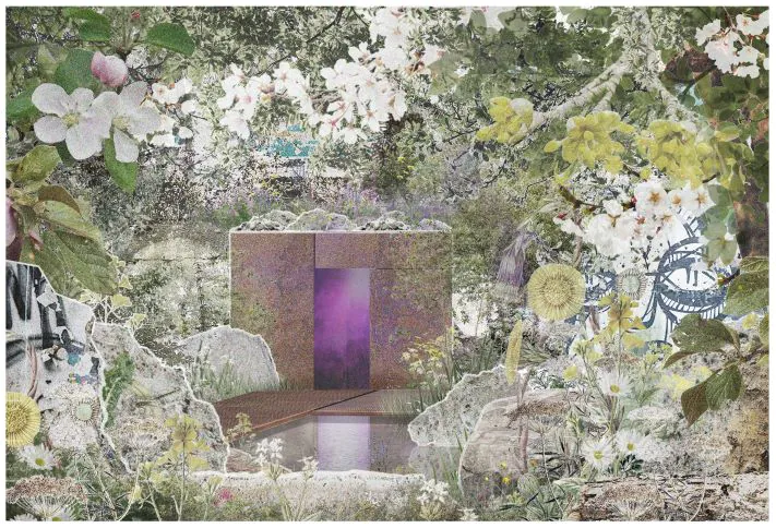 Chelsea Flower Show 2023 in review