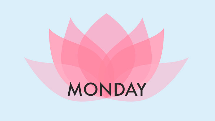Maya Fiennes’ Monday Plan
