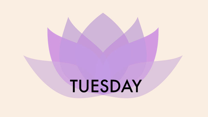 Maya Fiennes’ Tuesday Plan