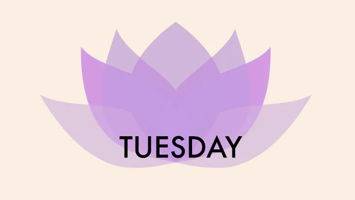 Maya Fiennes’ Tuesday Plan