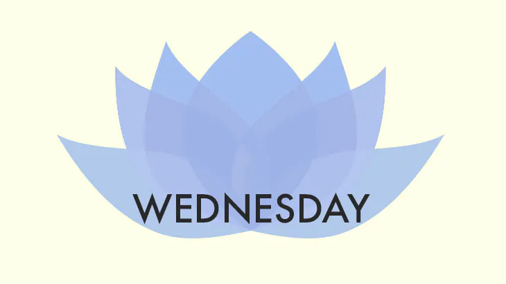 Maya Fiennes’ Wednesday Plan