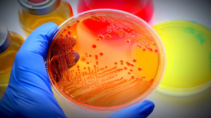 Can we win the war on bacteria?