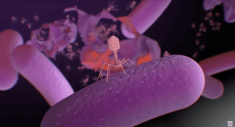 Using “superhero bugs” and AI to save lives from infections