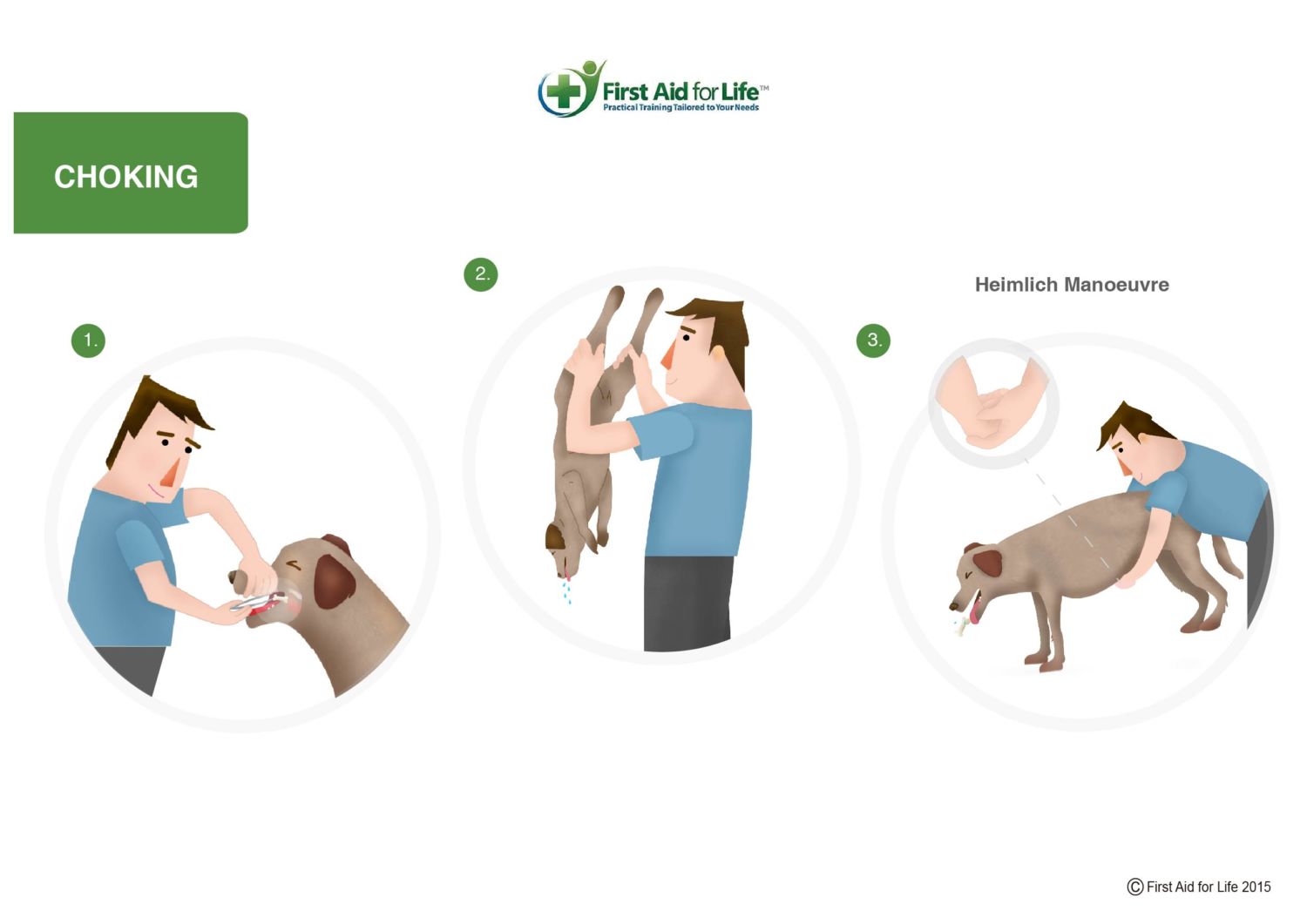 dog choking abdominal thrust
