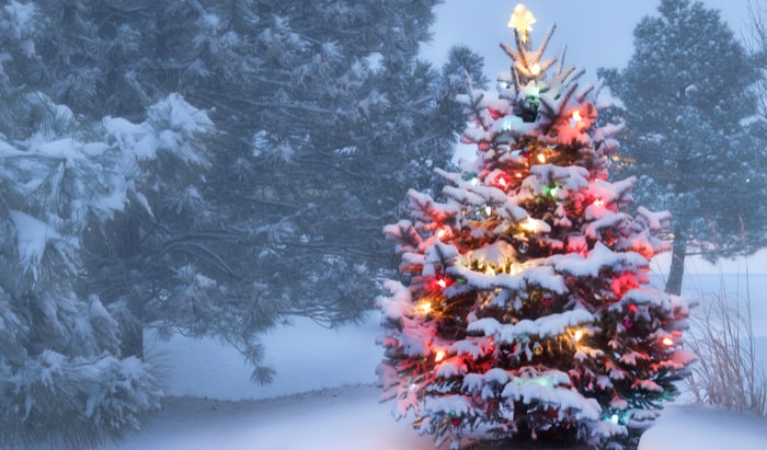 Merry Christmas without asthma