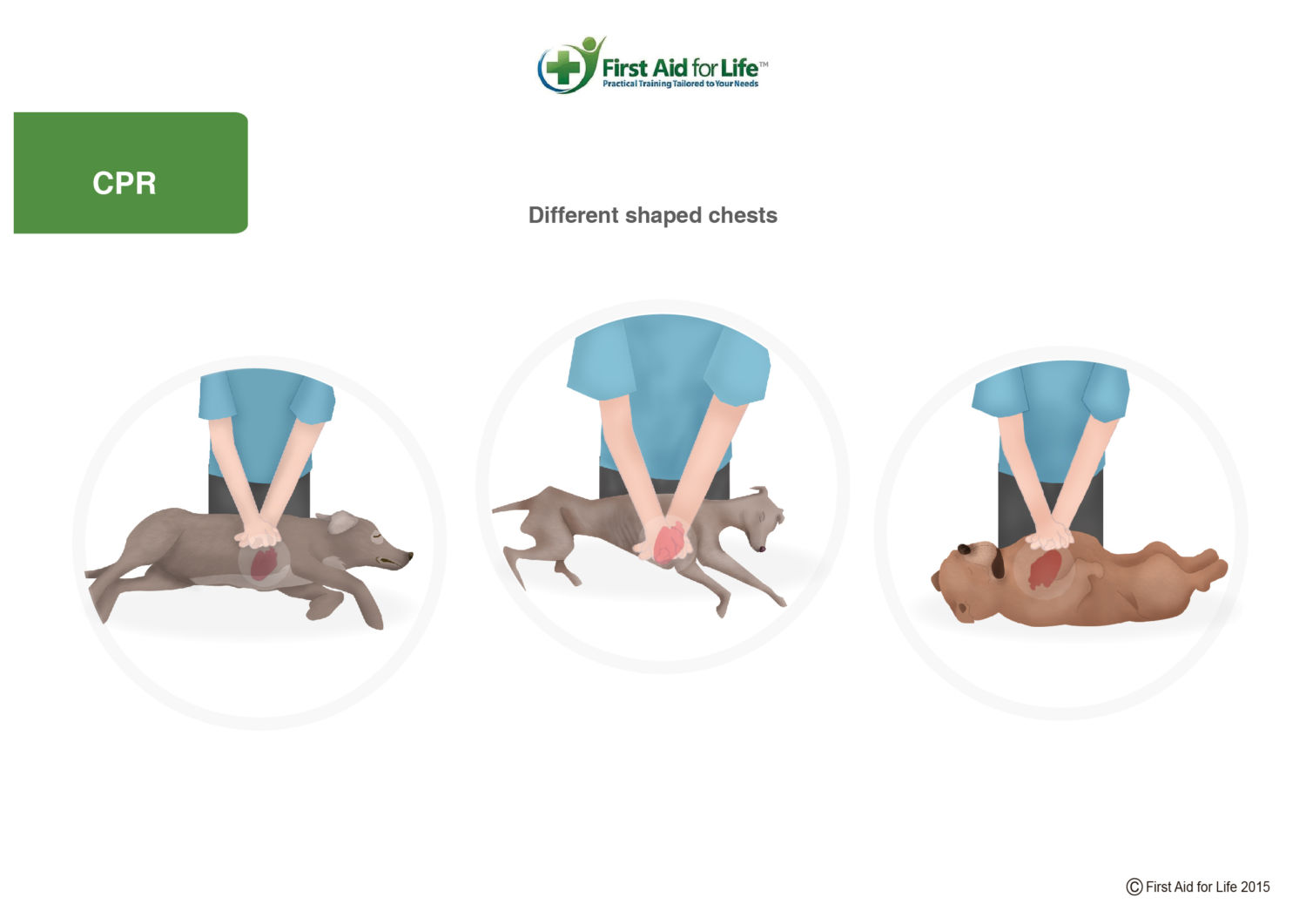 Dog cpr