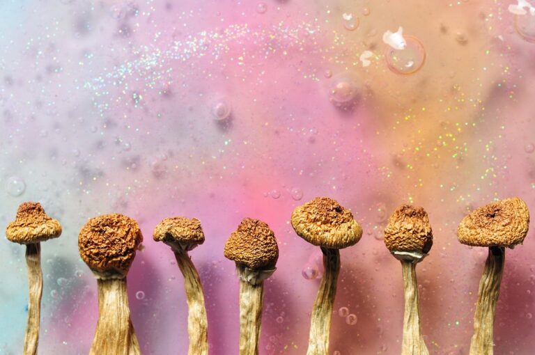 Psilocybin therapy potential treatment for anorexia
