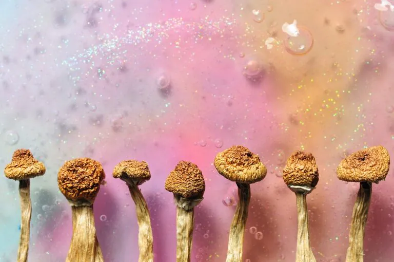 Psilocybin therapy potential treatment for anorexia