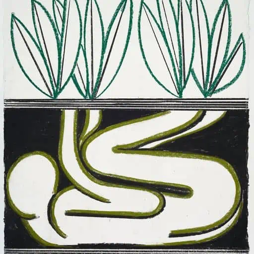 New exhibition Rooted Beings, at Wellcome Collection