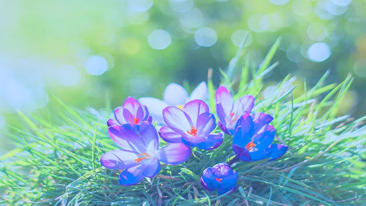 How hope can make you happier with your lot hope