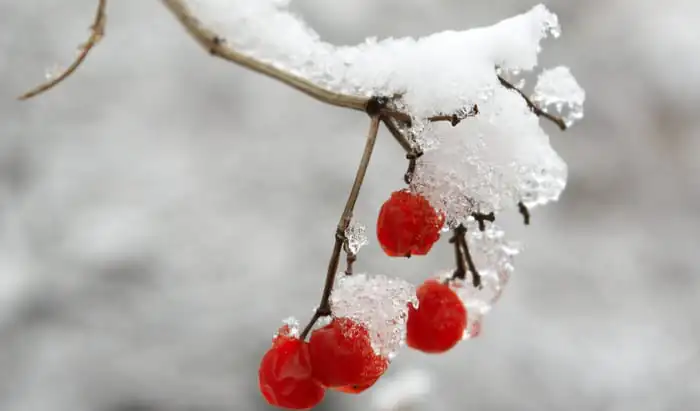 How to protect your skin this winter