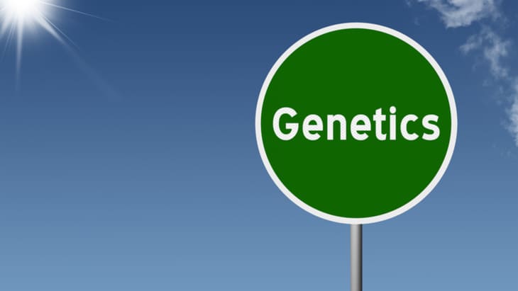 DNA profiling: Guiding the way