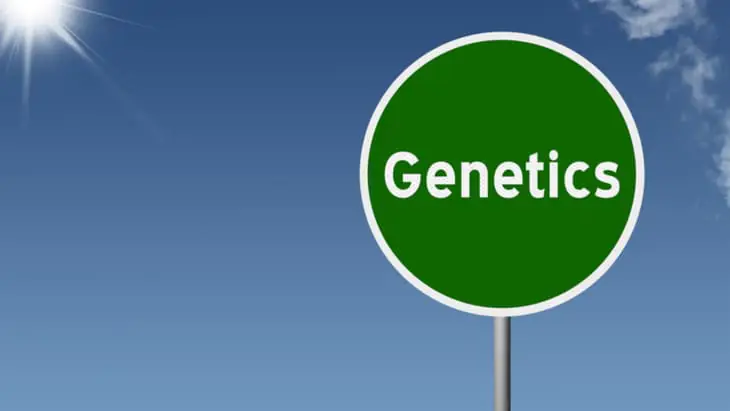 DNA profiling: Guiding the way