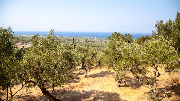 A lost generation – working with young refugees in Greece