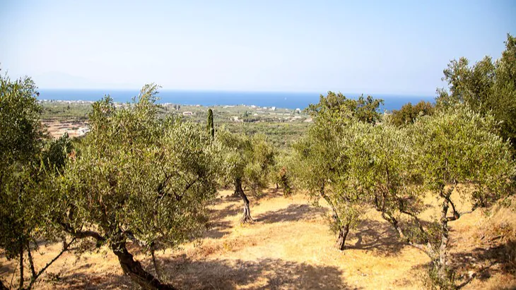 A lost generation – working with young refugees in Greece