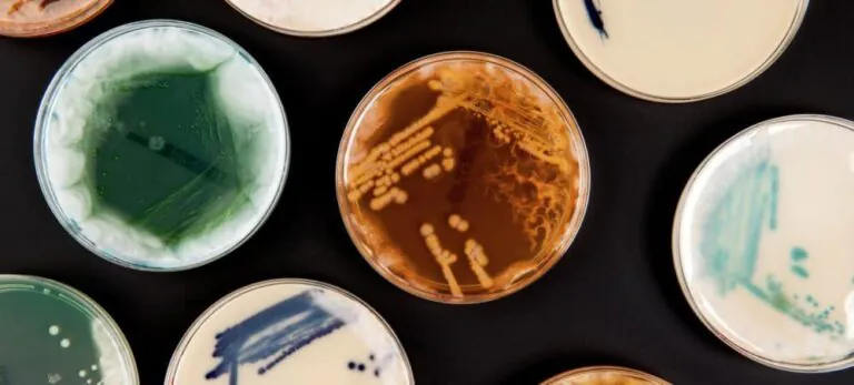 Superbugs: The fight for our lives