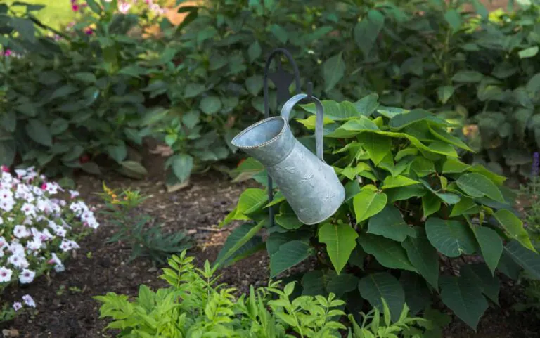 How to Enjoy Gardening with Less Effort