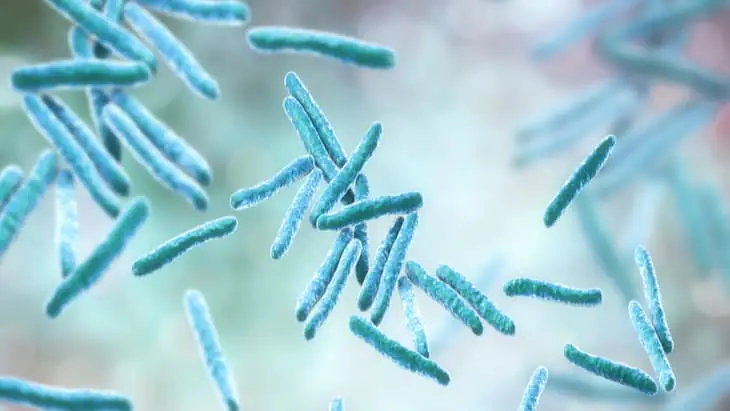 New blood tests to accurately diagnose TB