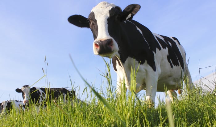 Defending ourselves from antibiotic resistance