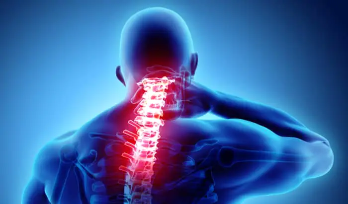 Genetics, brain structure and chronic pain