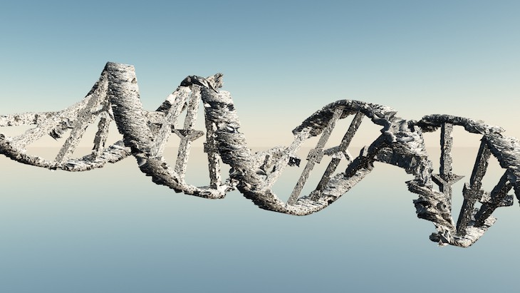 Your risk of getting Cancer