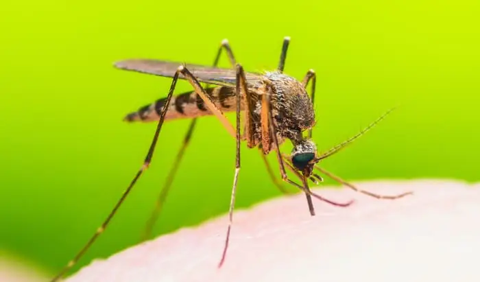 Identification of Protective Antibodies may be the Key to Effective Malaria Vaccine