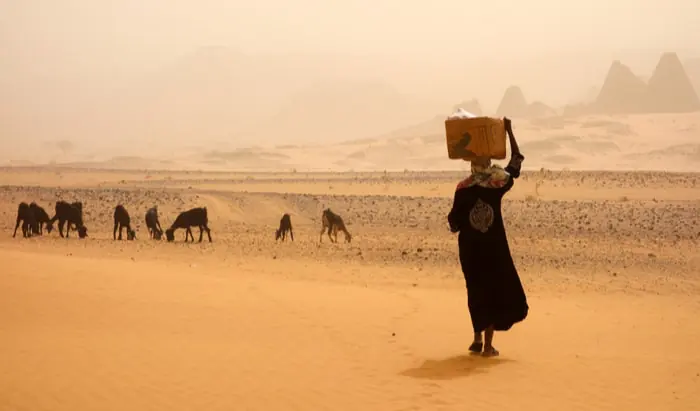 MSF tackling TB in Sudan and South Sudan