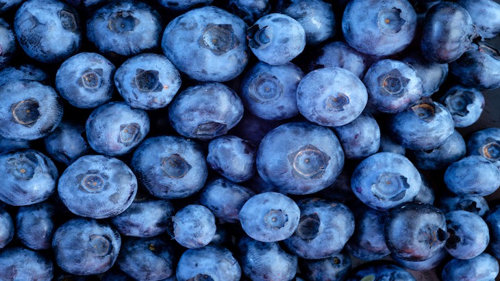 Why are blueberries good for you?