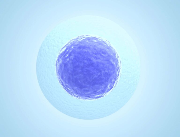 Human embryos are switched on from the get go