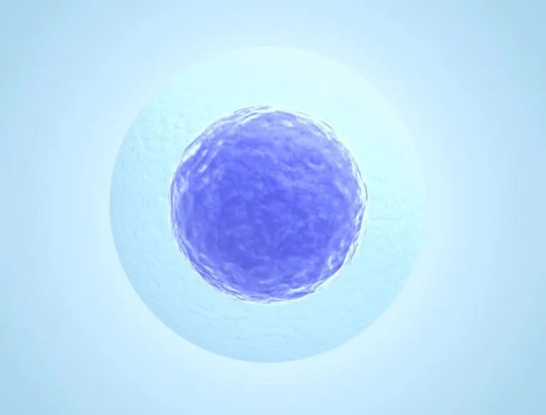 Human embryos are switched on from the get go