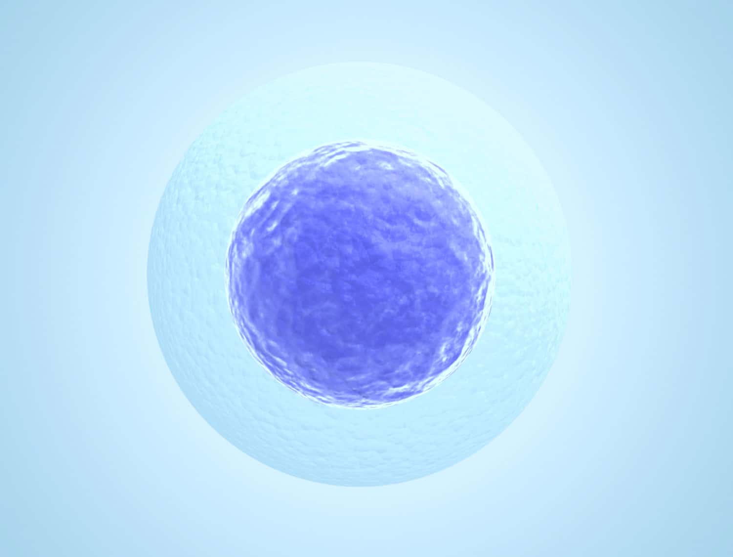 Human embryos are switched on from the get go human embryos