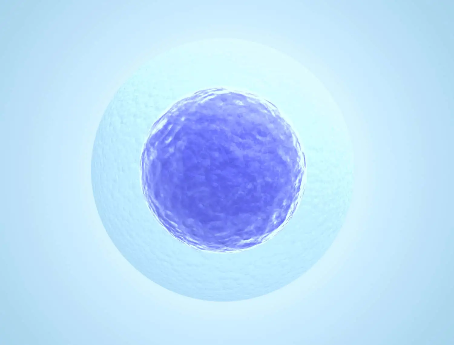Human embryos are switched on from the get go human embryos