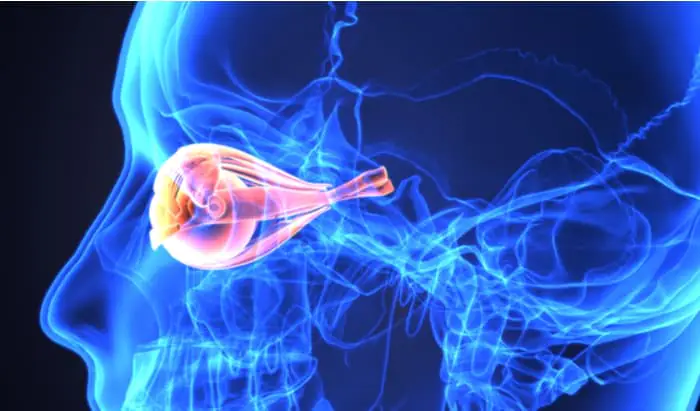 Glaucoma: gene therapy regenerates optic nerve