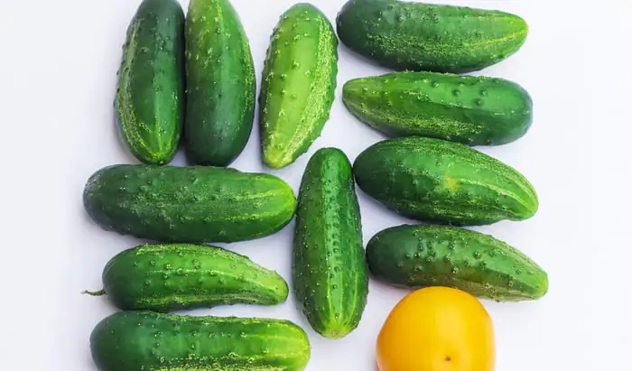 Diet and its effect on Autism