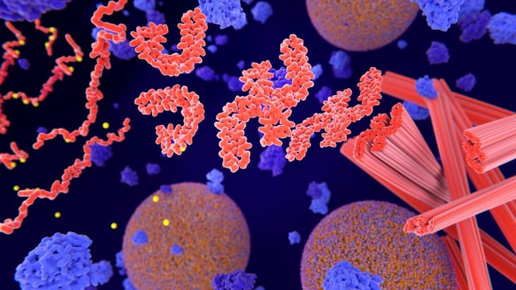 Protein tangles linked with Dementia