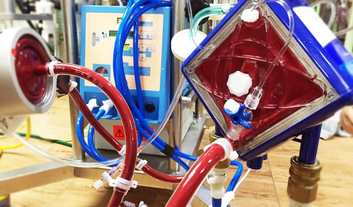ECMO machine: prostaglandin E1 reduces risk