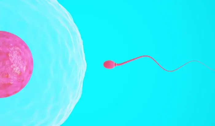 Poor quality sperm linked to miscarriage