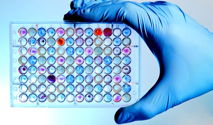 Master’s course in Molecular Precision Medicine