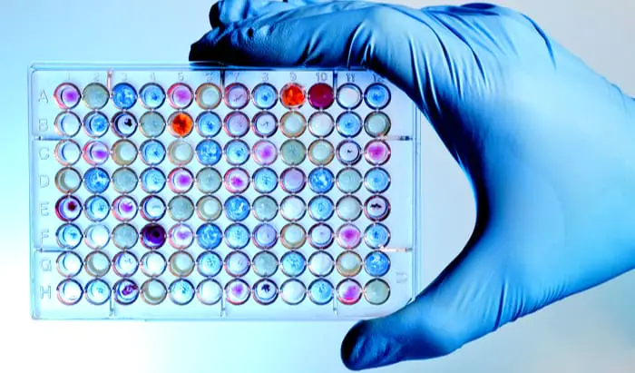 Master’s course in Molecular Precision Medicine