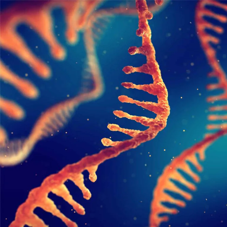 Novel nuclear microRNA for treatment of cardiovascular disease