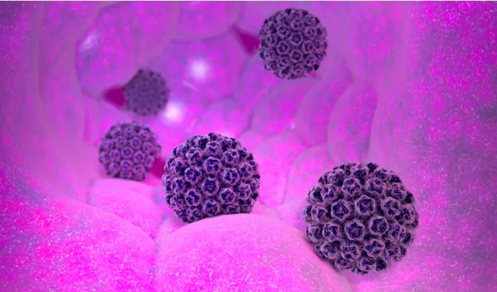 Genes associated with increased risk of cervical cancer identified