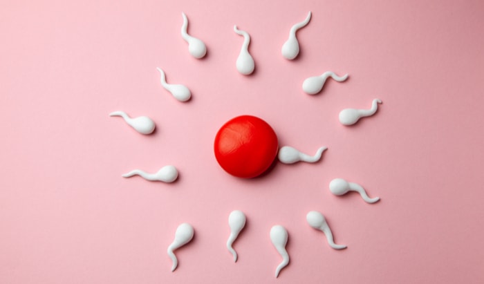 Fertility Network responds to HFEA’s Covid report