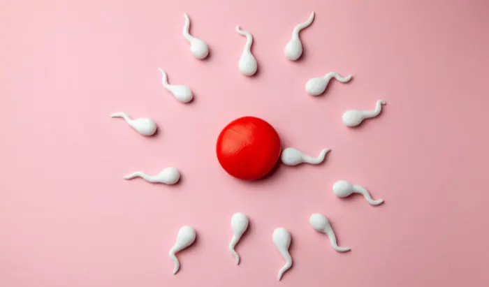 Fertility Network responds to HFEA’s Covid report