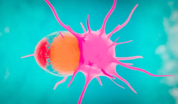 Skin cancer: new immunotherapy treatment new immunotherapy