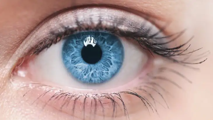 sight