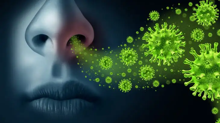 Bacteria-fighting cells may boost infection risk from respiratory viruses respiratory