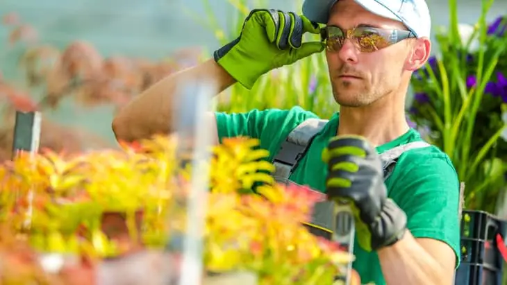 Garden Health and Safety Tips Garden Health and Safety Tips