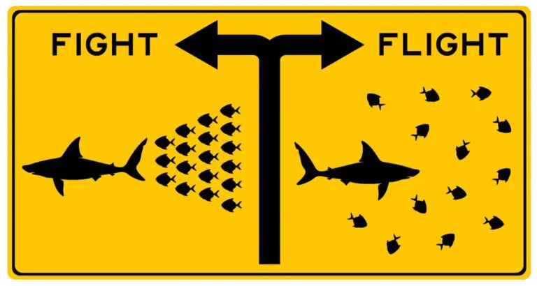Fight-or-flight response is altered in healthy young people who had COVID-19