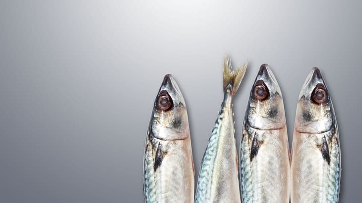 The Common Points between Carnivorous Inuit & Indian Vegetarians